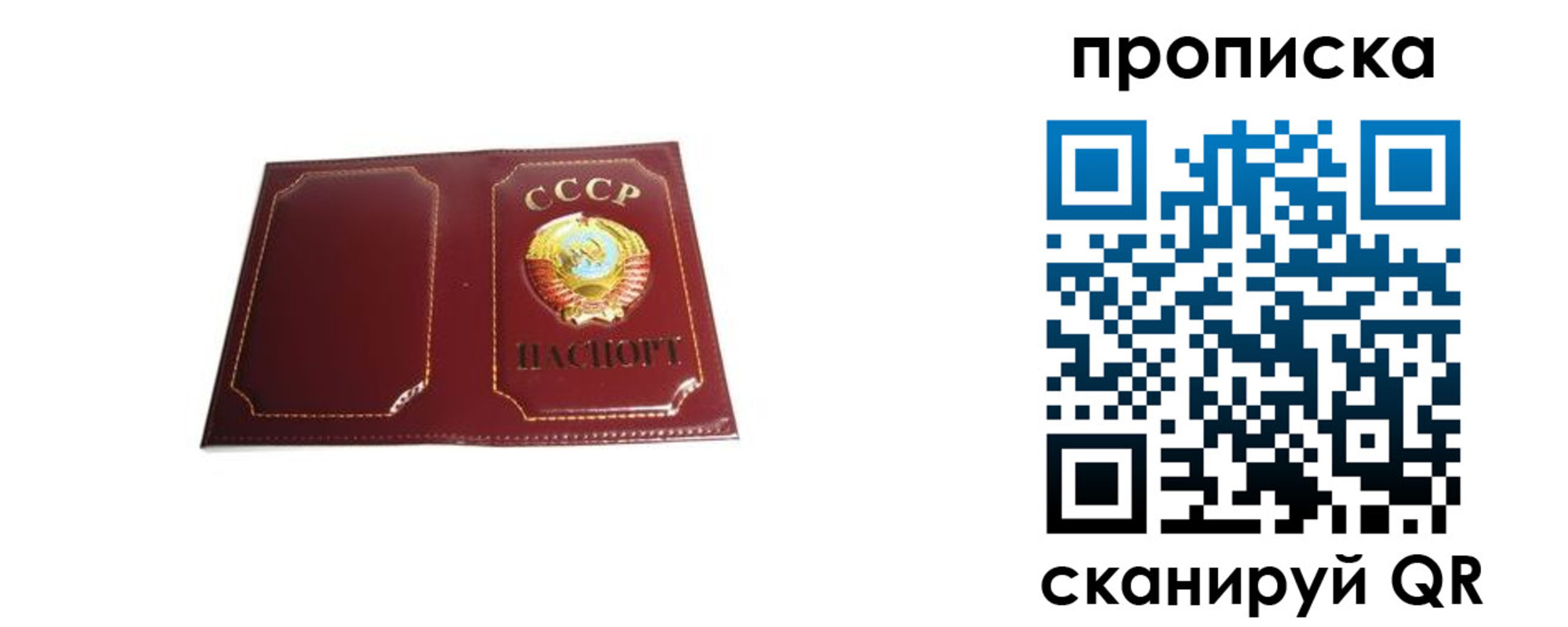 прописка гарантия в Чаплыгине